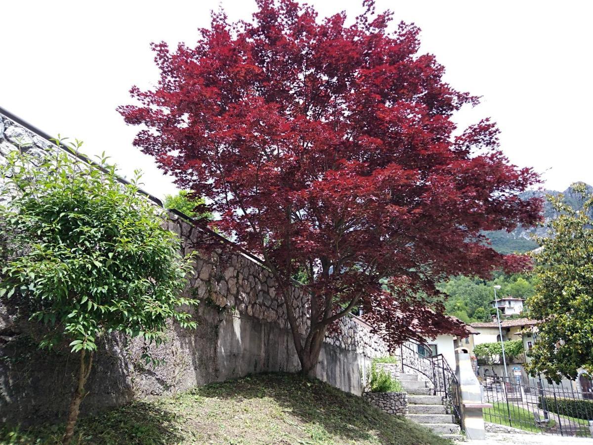 B&B L'Acero Casto Exterior photo